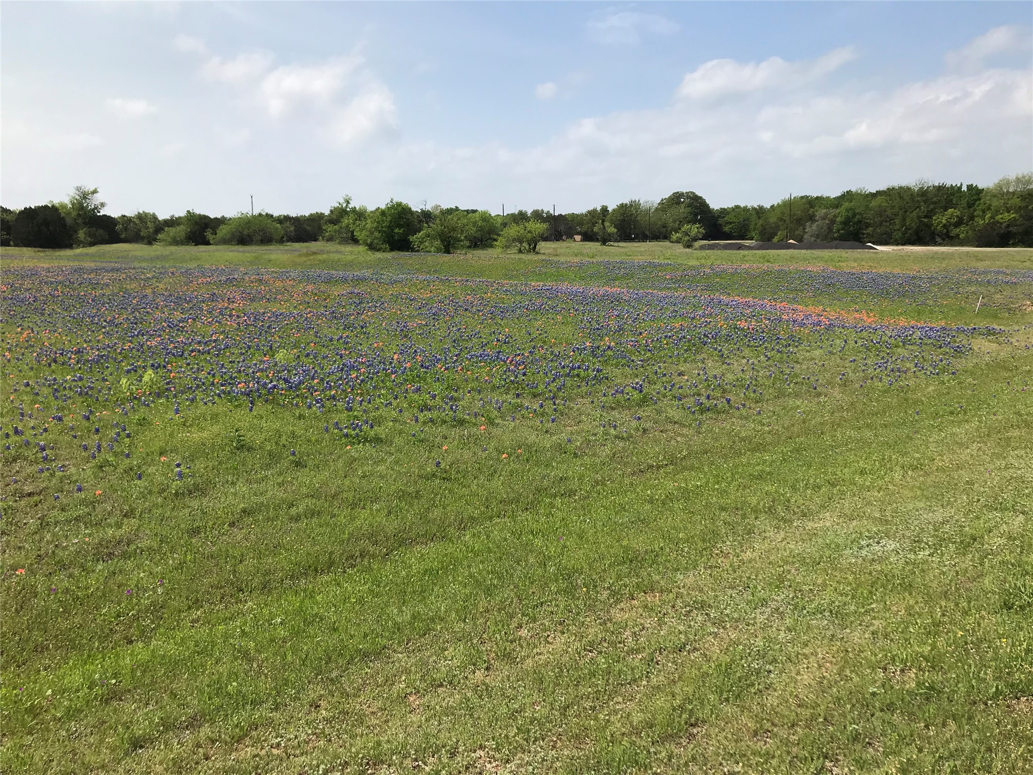 1014 White Bluff Drive Whitney TX 76692