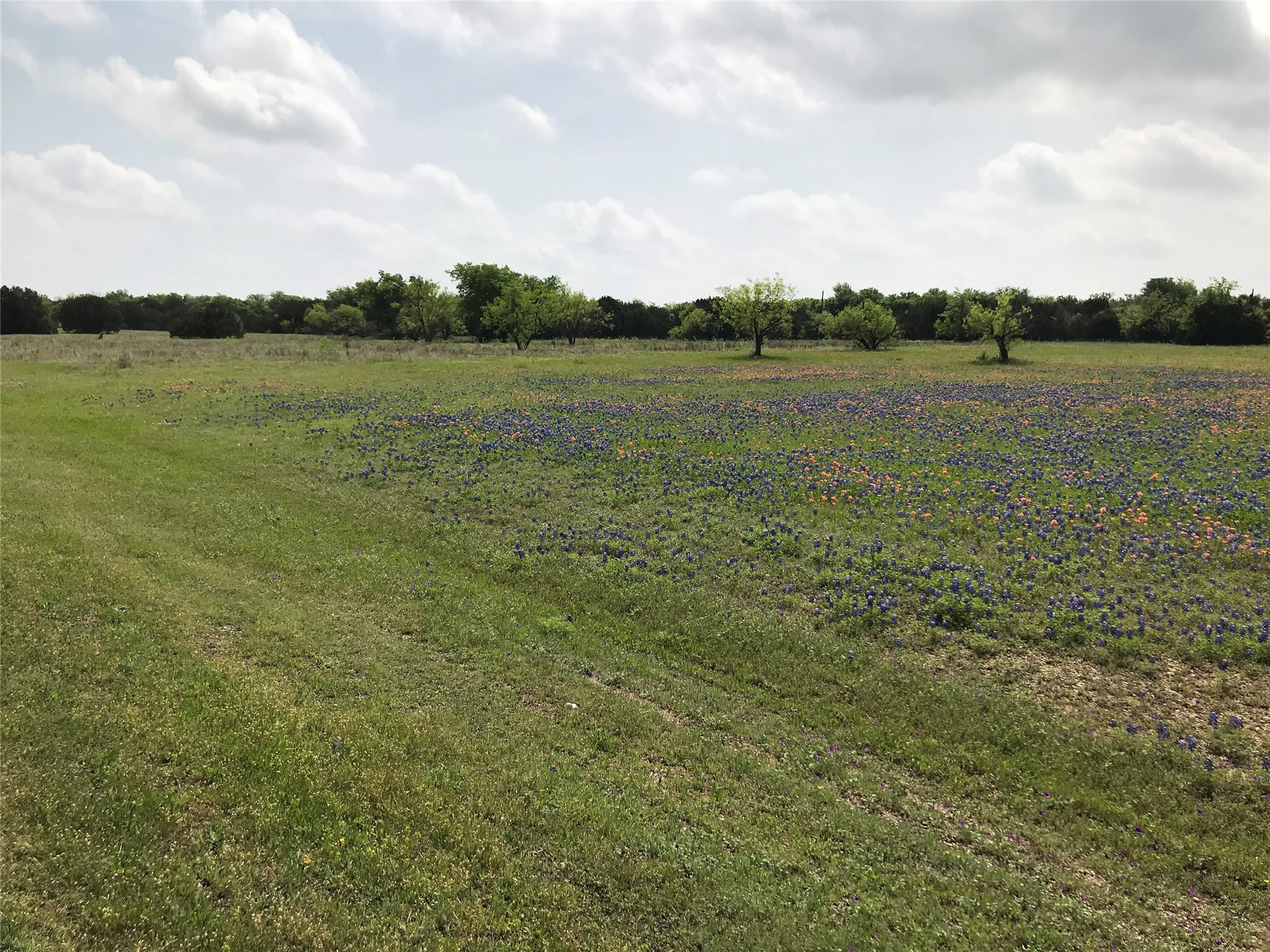 1014 White Bluff Drive Whitney TX 76692
