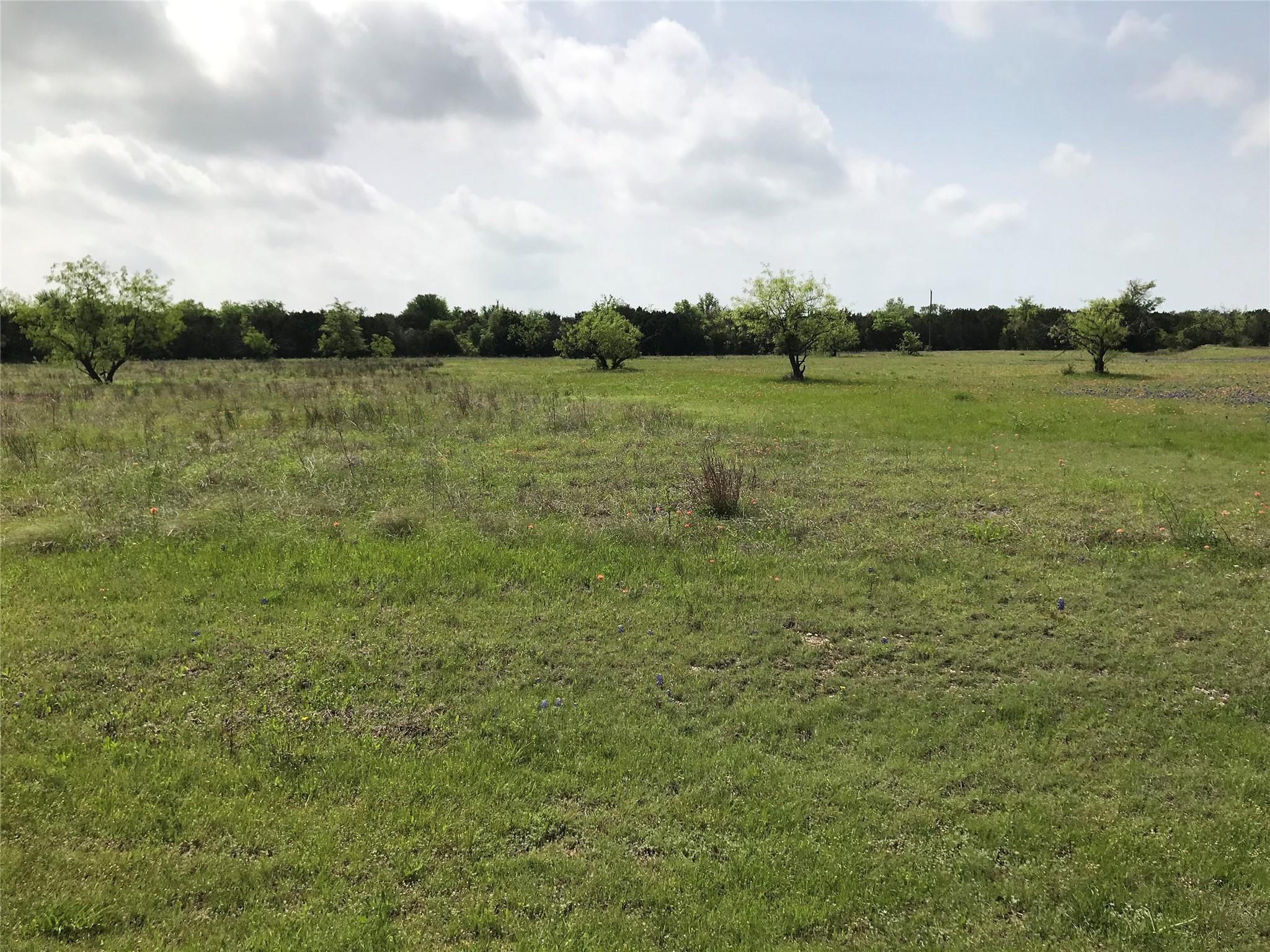 1014 White Bluff Drive Whitney TX 76692