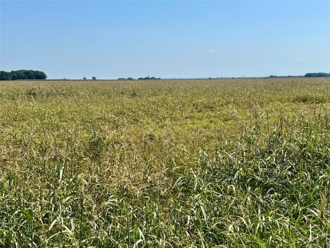 Tbd 105 Acres Dale Acres Road Milford TX 76670