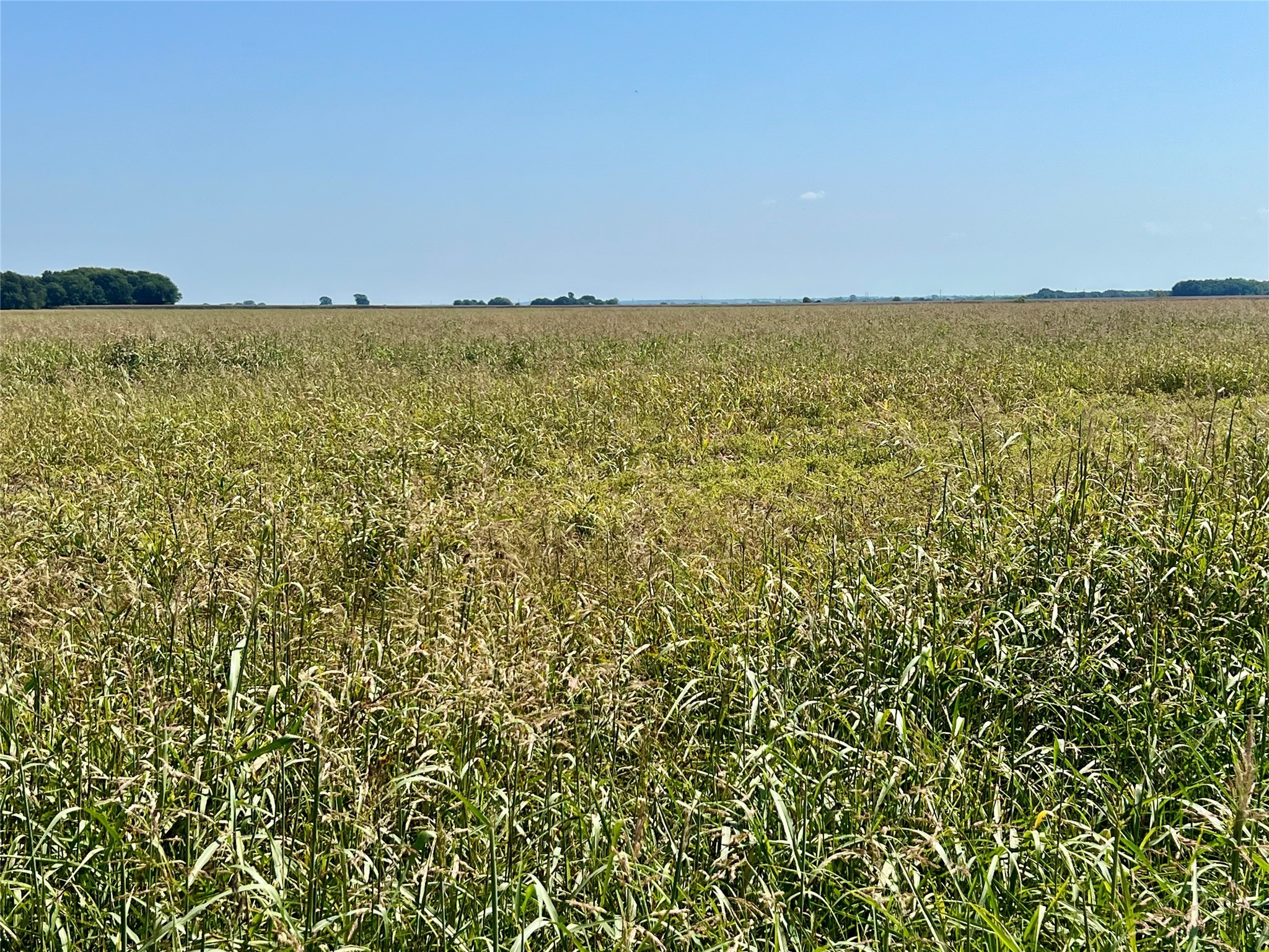 Tbd 105 Acres Dale Acres Road Milford TX 76670