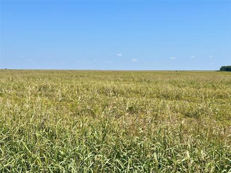 Tbd 105 Acres Dale Acres Road Milford TX 76670