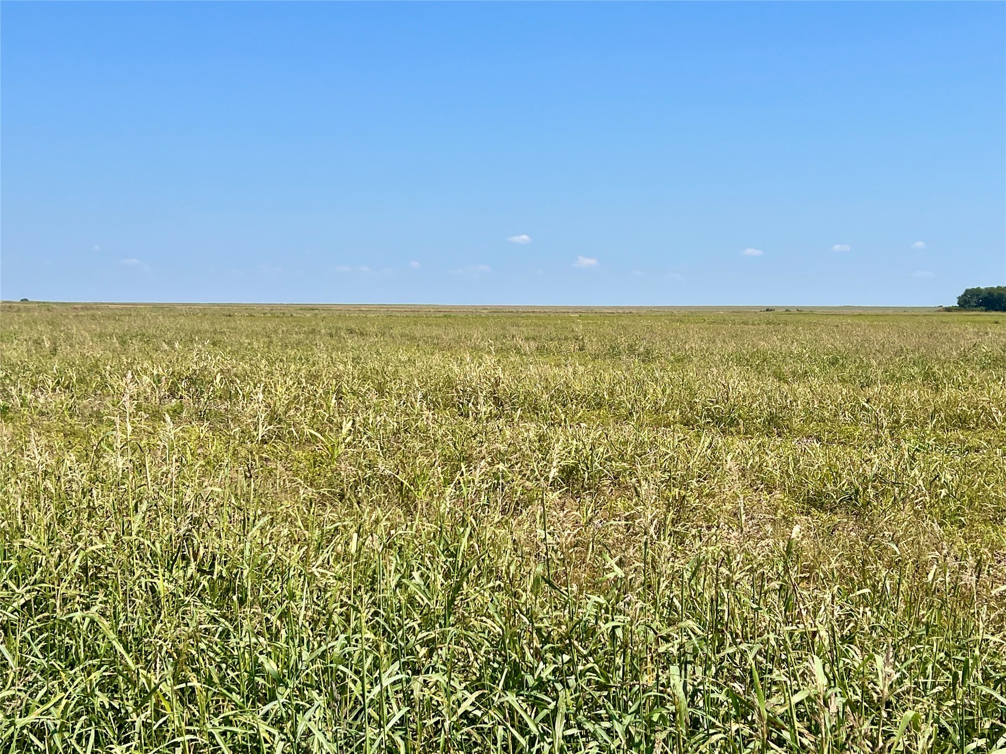 Tbd 105 Acres Dale Acres Road Milford TX 76670