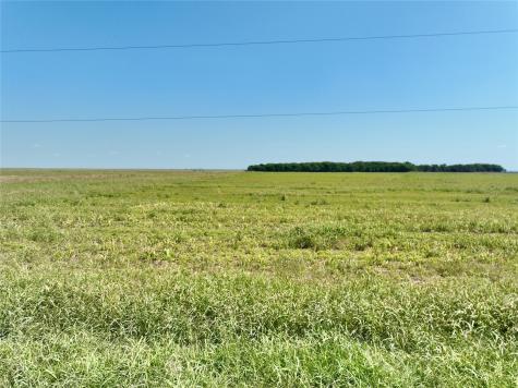 Tbd 105 Acres Dale Acres Road Milford TX 76670