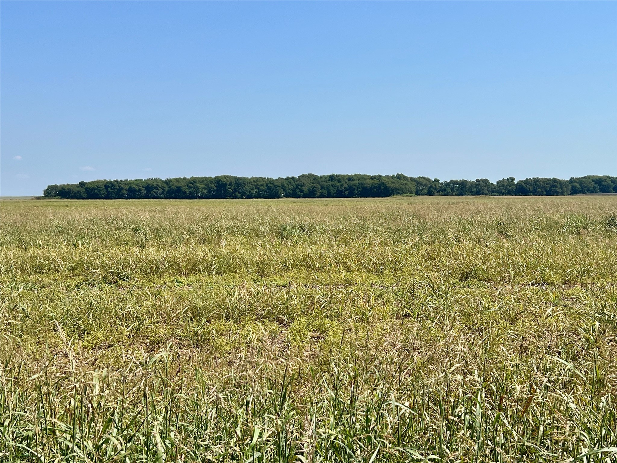 Tbd 105 Acres Dale Acres Road Milford TX 76670