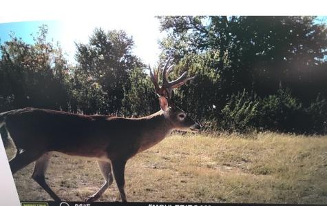 4025 County Road 175 Stephenville TX 76401