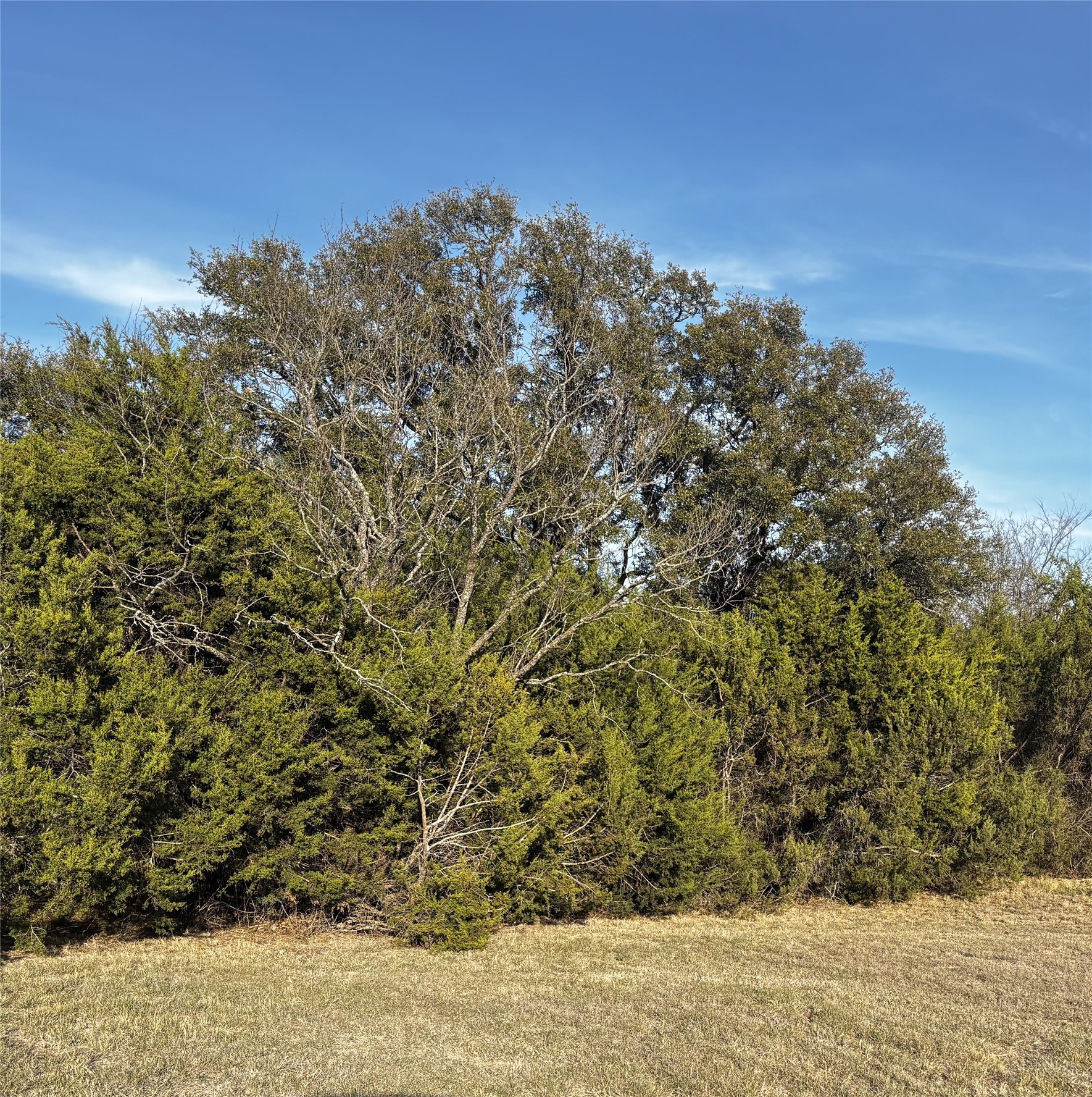 4025 County Road 175 Stephenville TX 76401
