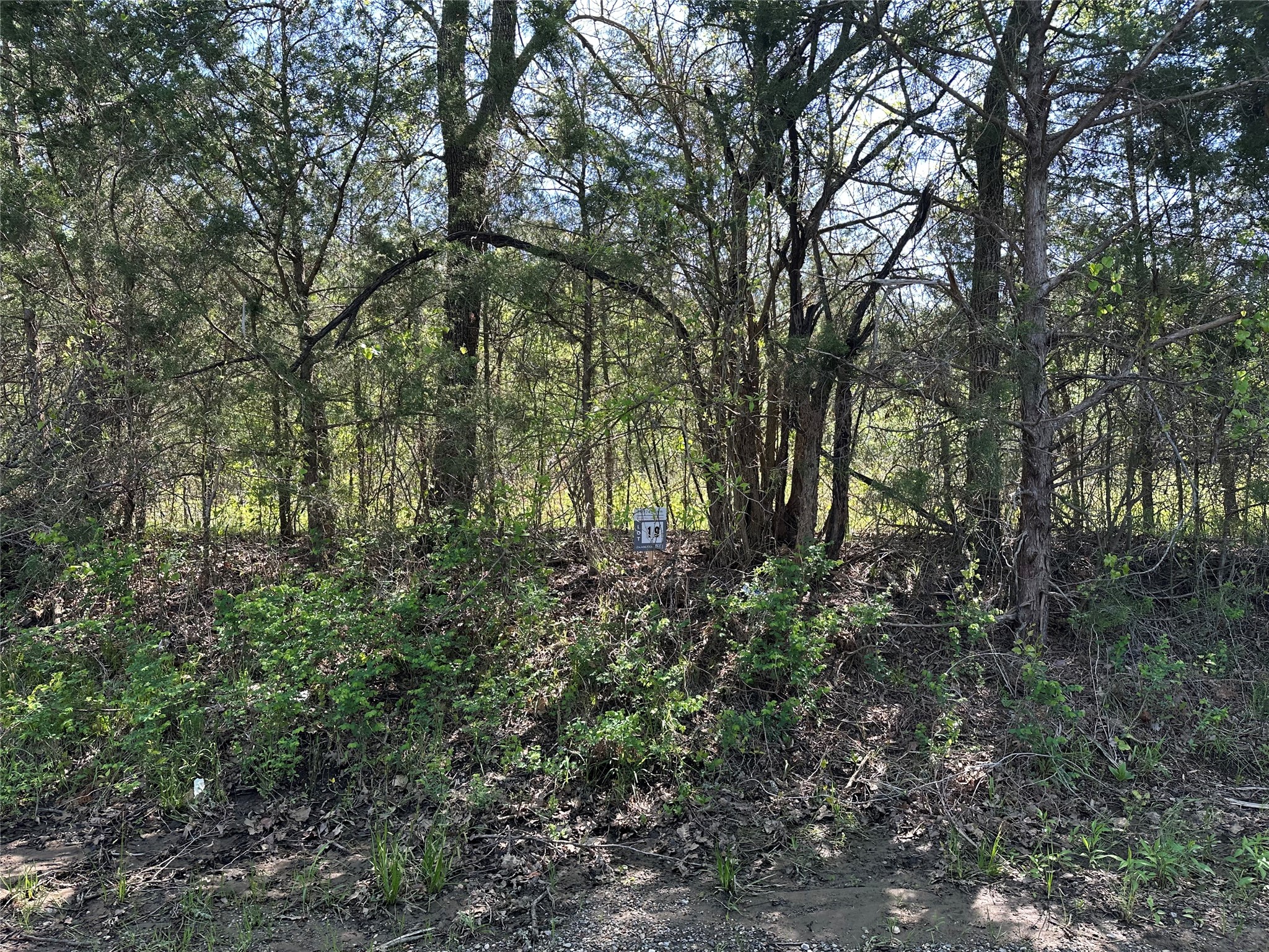 Tract 19 County Road 2960 Honey Grove TX 75446
