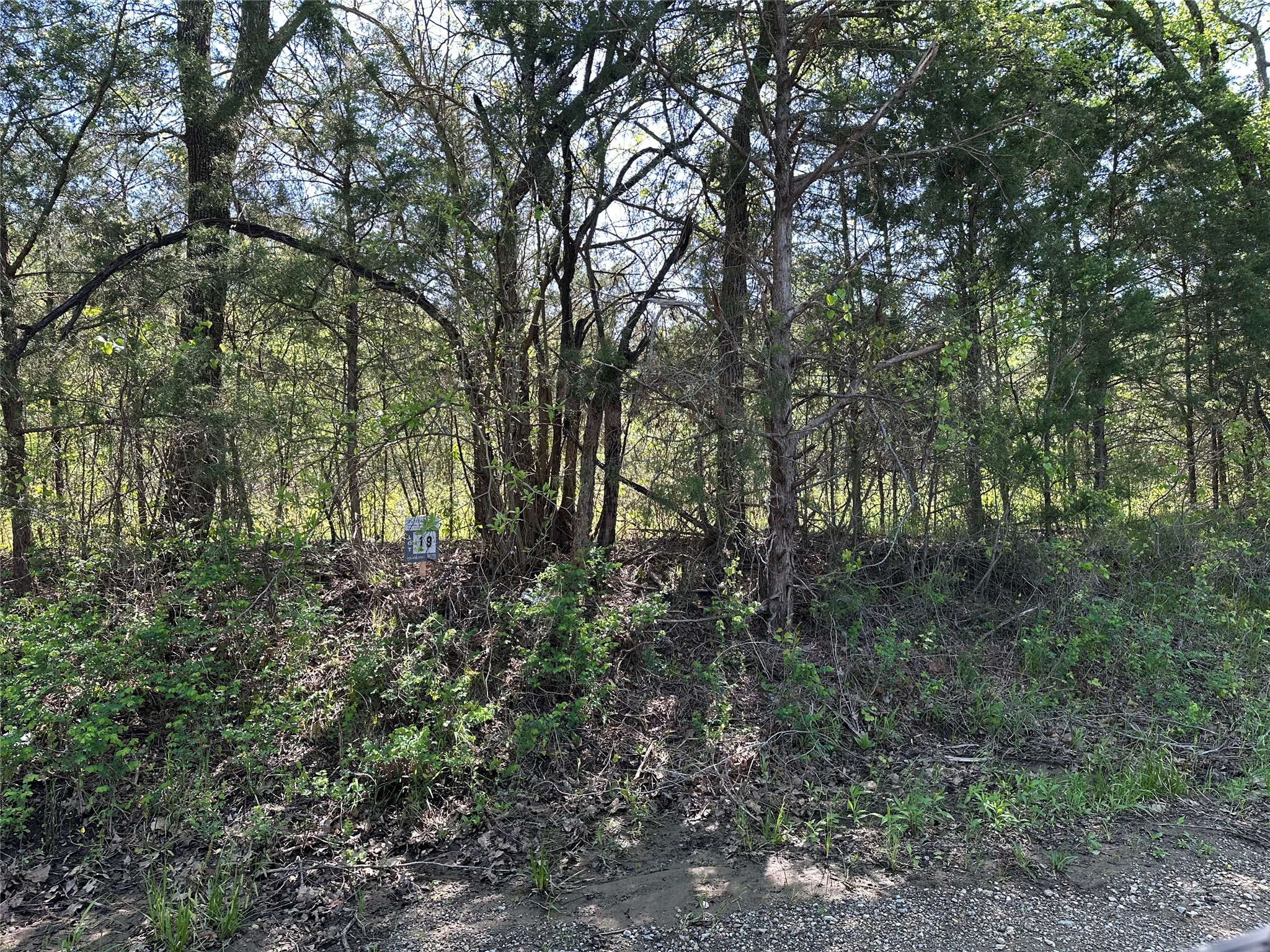 Tract 19 County Road 2960 Honey Grove TX 75446