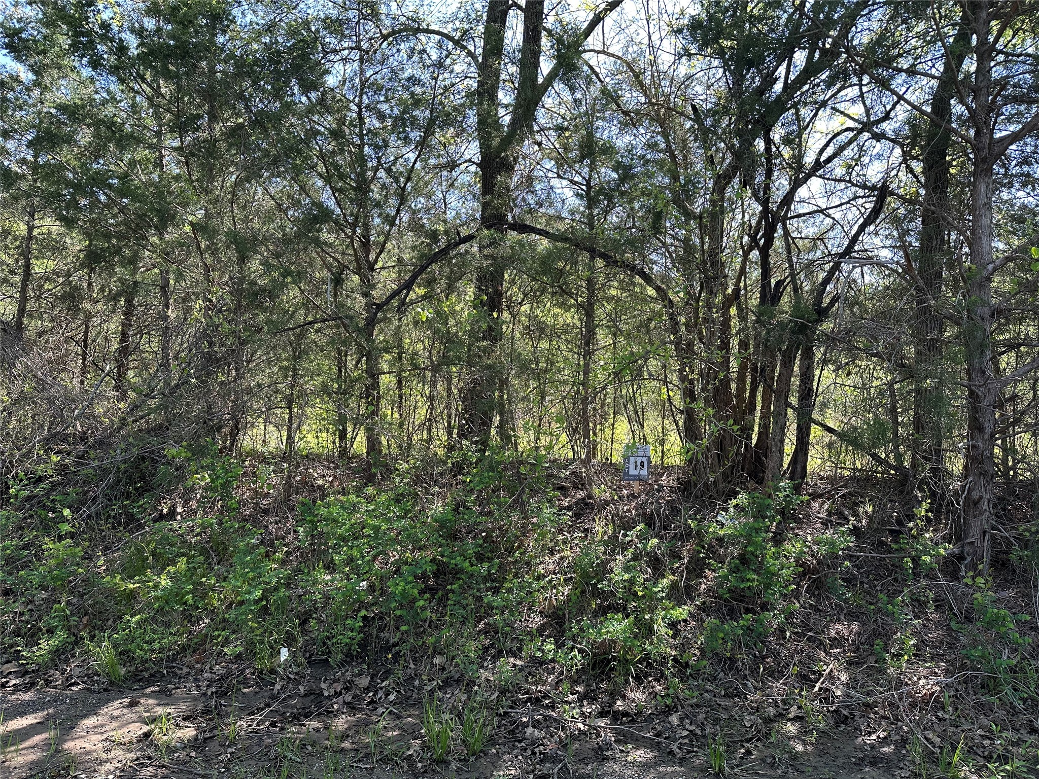 Tract 19 County Road 2960 Honey Grove TX 75446