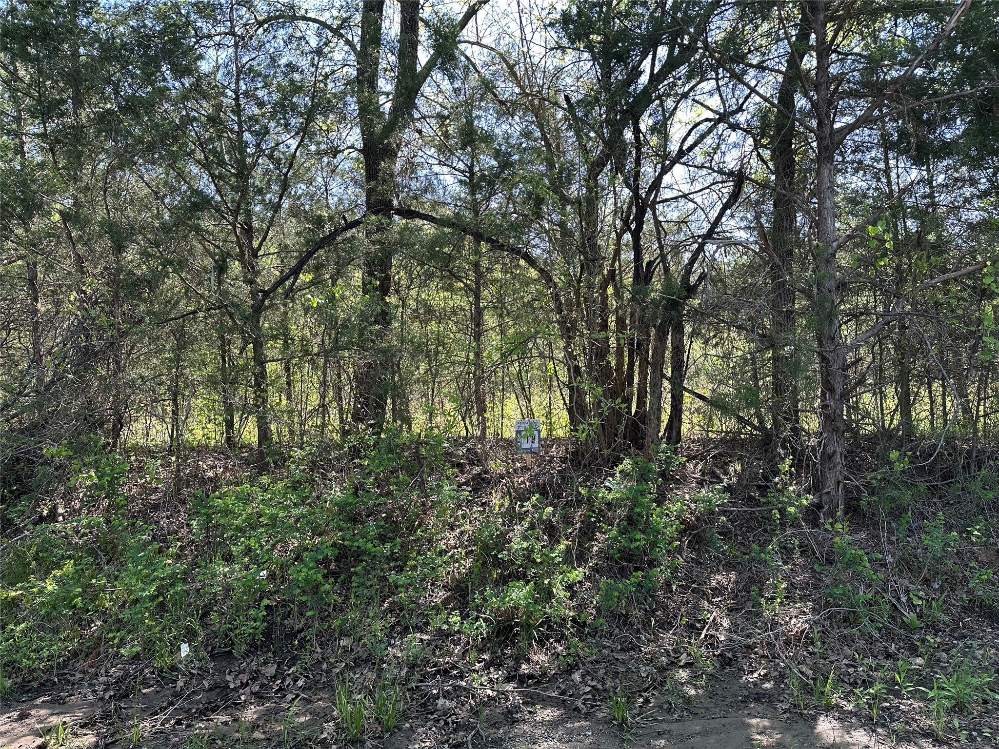 Tract 19 County Road 2960 Honey Grove TX 75446