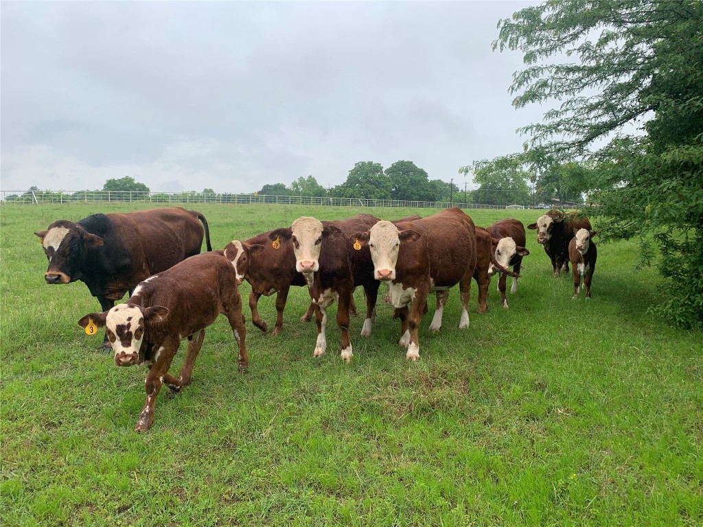 619 N Watson Street Seagoville TX 75159