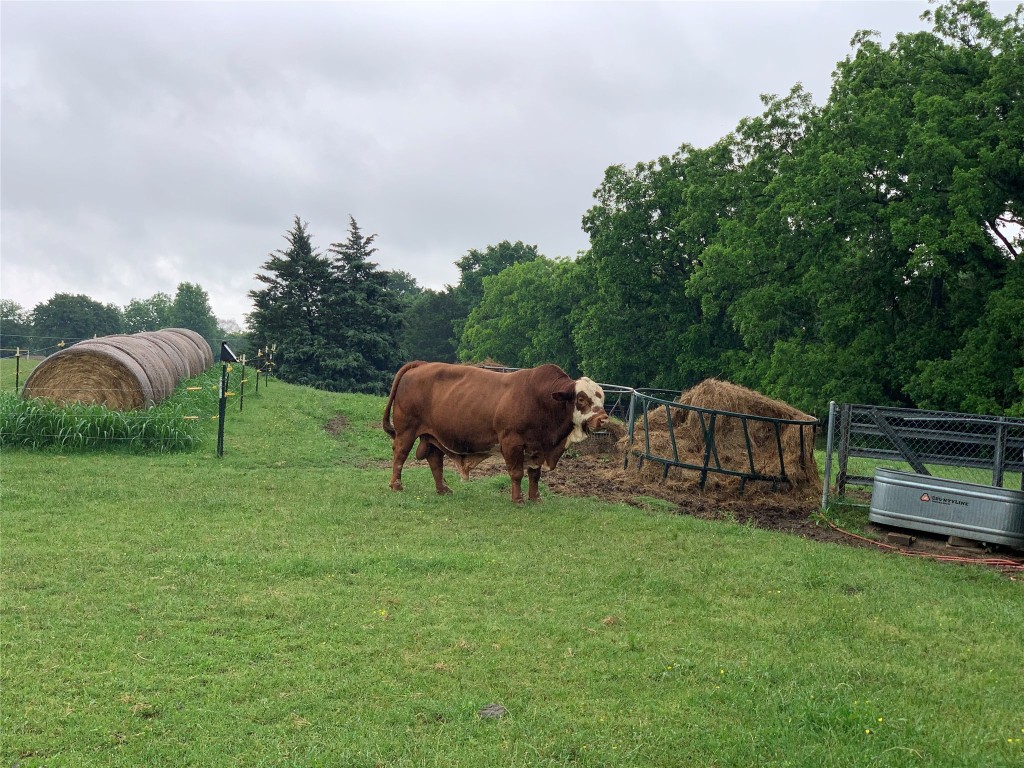 619 N Watson Street Seagoville TX 75159