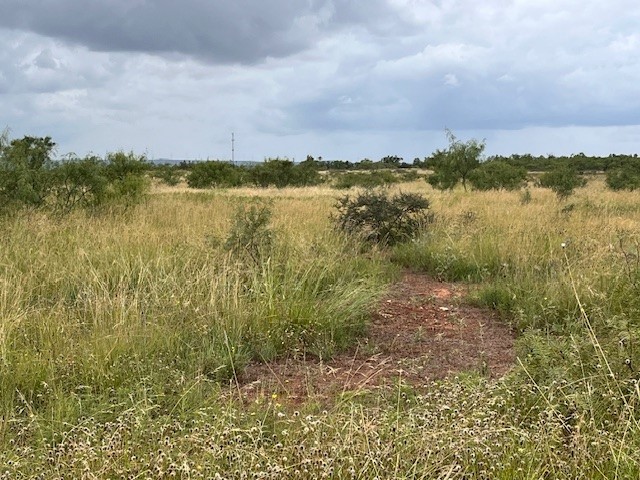 TBD1 County Road 405 Merkel TX 79536