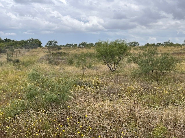 TBD1 County Road 405 Merkel TX 79536