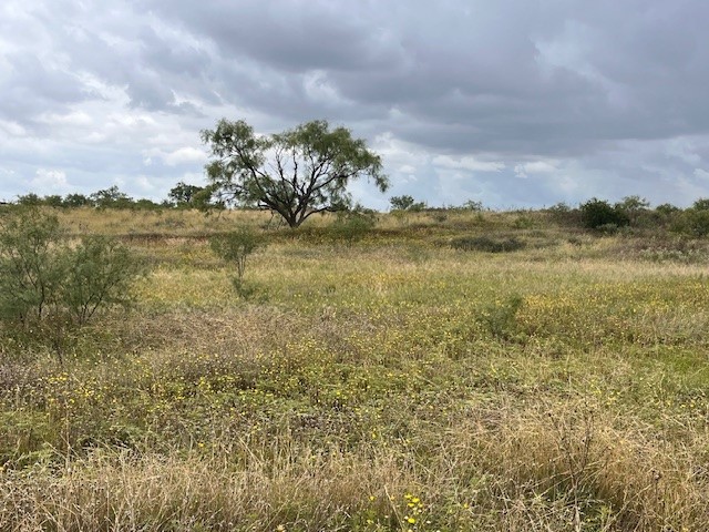 TBD1 County Road 405 Merkel TX 79536