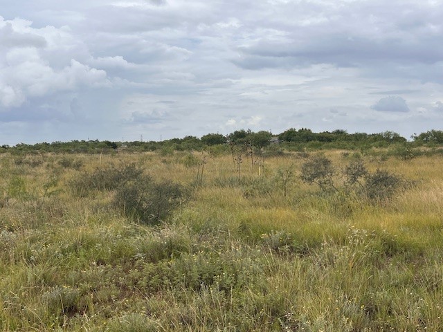TBD1 County Road 405 Merkel TX 79536