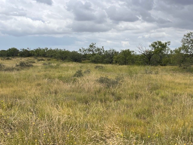 TBD1 County Road 405 Merkel TX 79536
