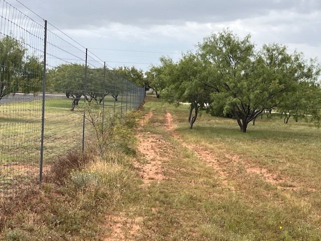 TBD1 County Road 405 Merkel TX 79536
