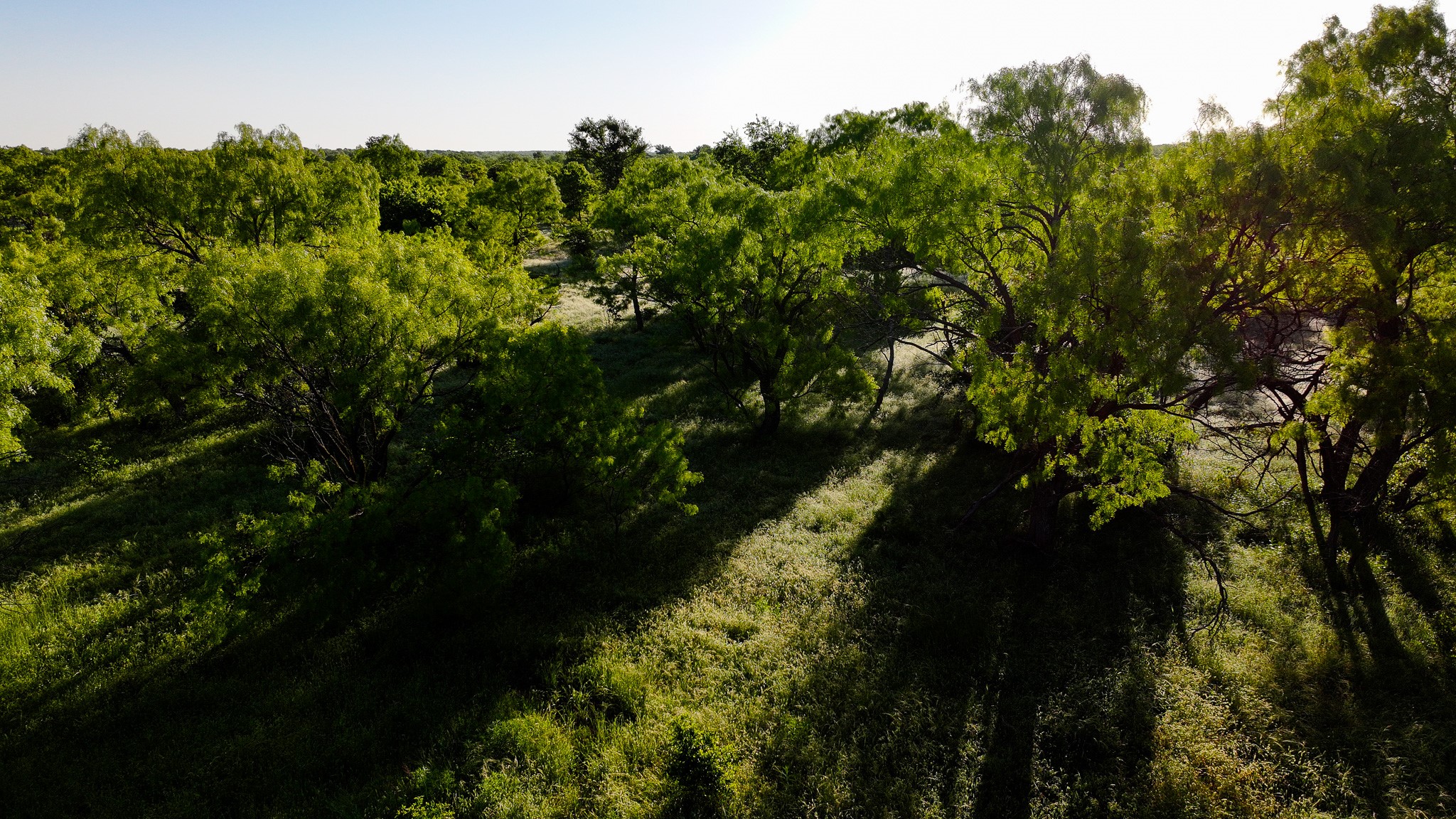 Tbd Symank Road Megargel TX 76370