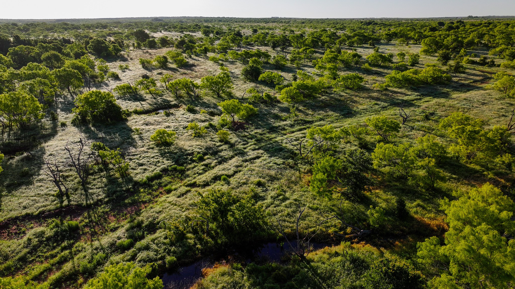 Tbd Symank Road Megargel TX 76370