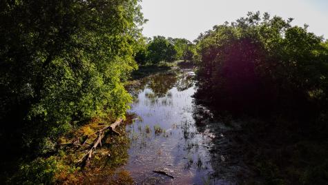 Tbd Symank Road Megargel TX 76370