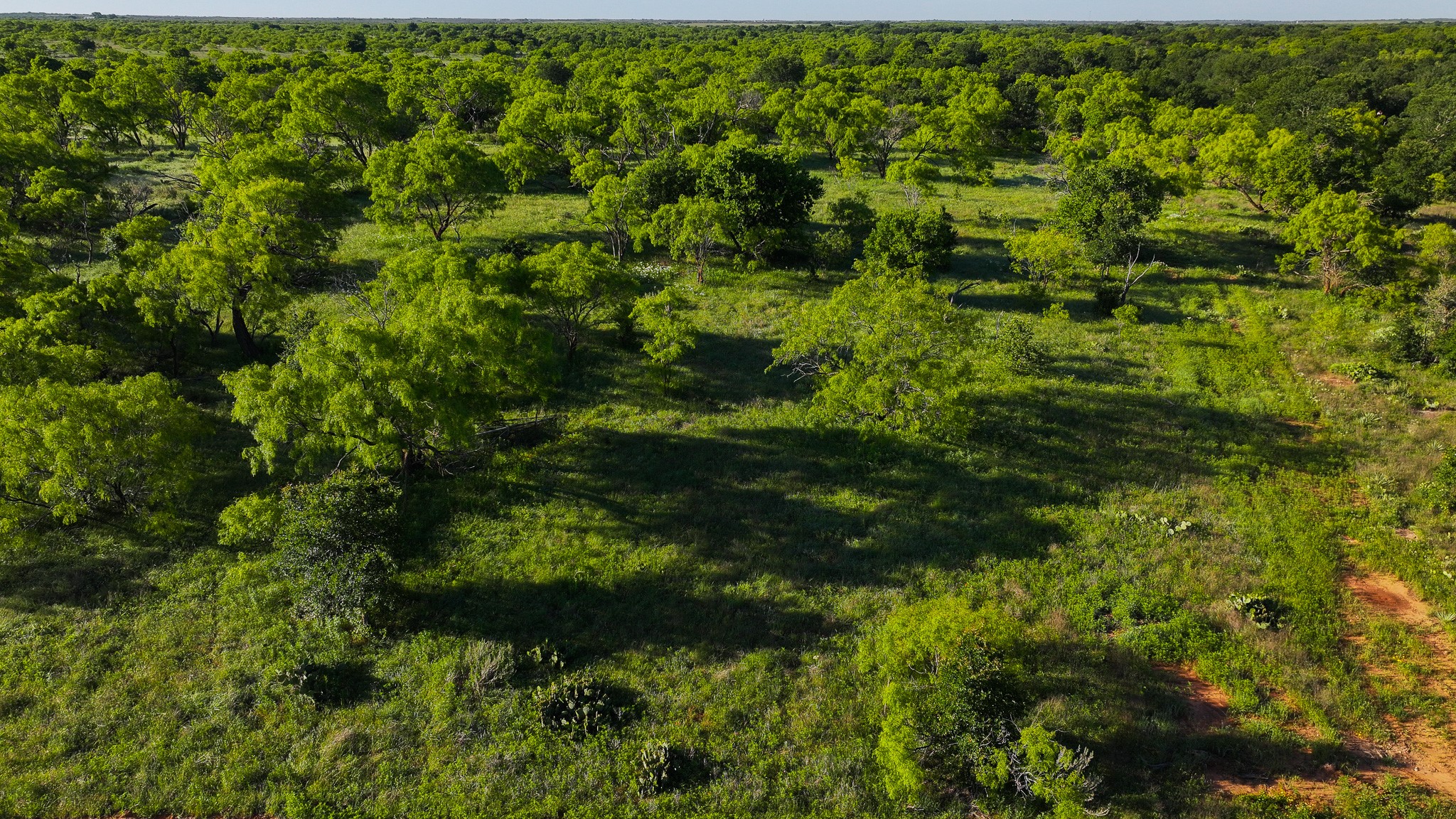Tbd Symank Road Megargel TX 76370