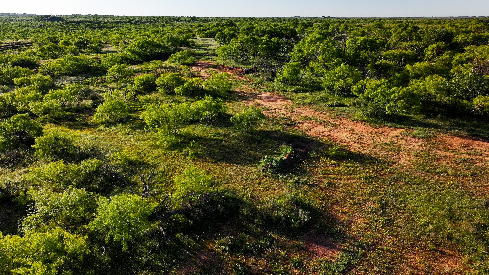 Tbd Symank Road Megargel TX 76370