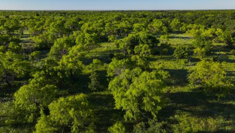 Tbd Symank Road Megargel TX 76370