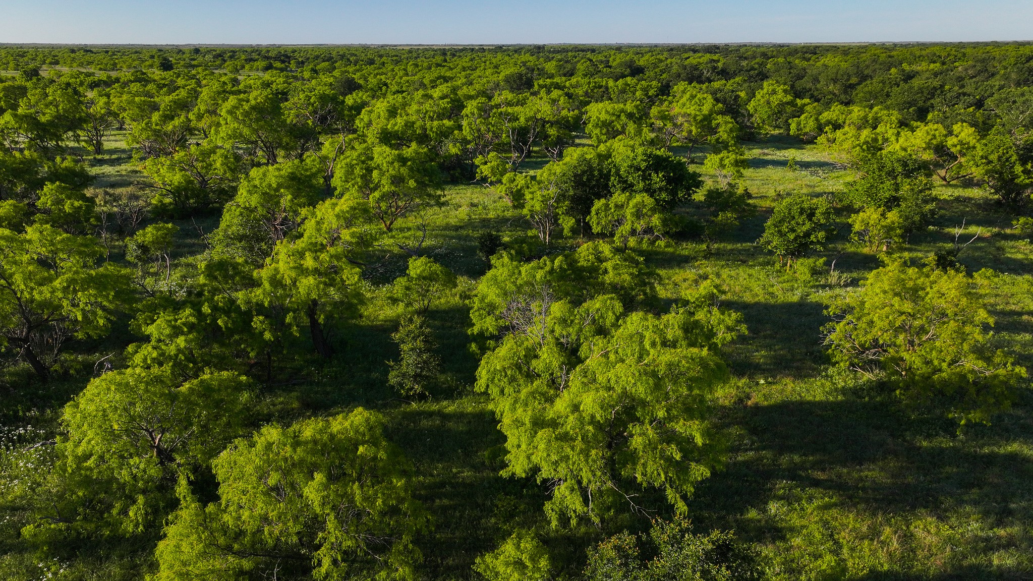 Tbd Symank Road Megargel TX 76370