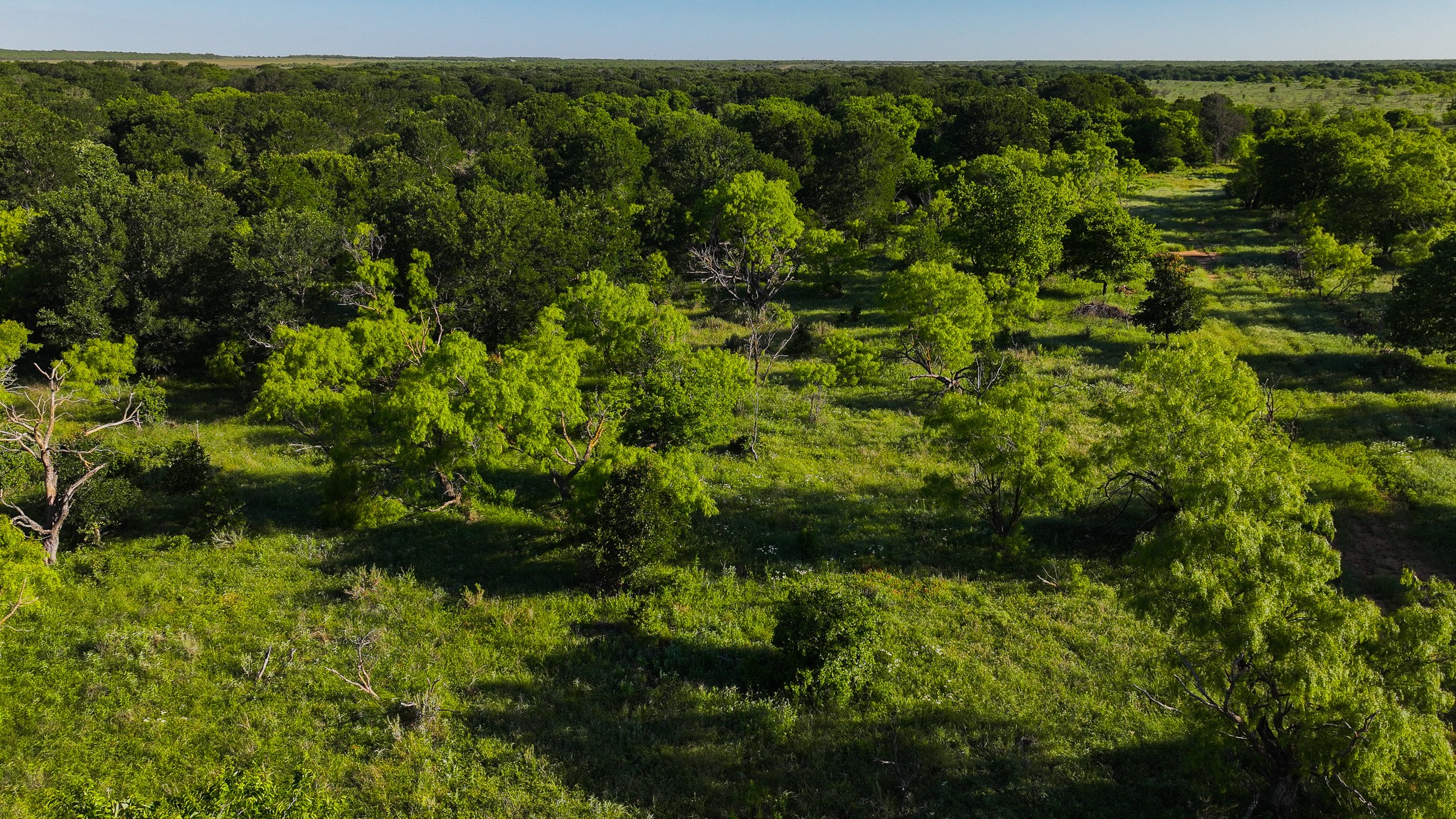 Tbd Symank Road Megargel TX 76370
