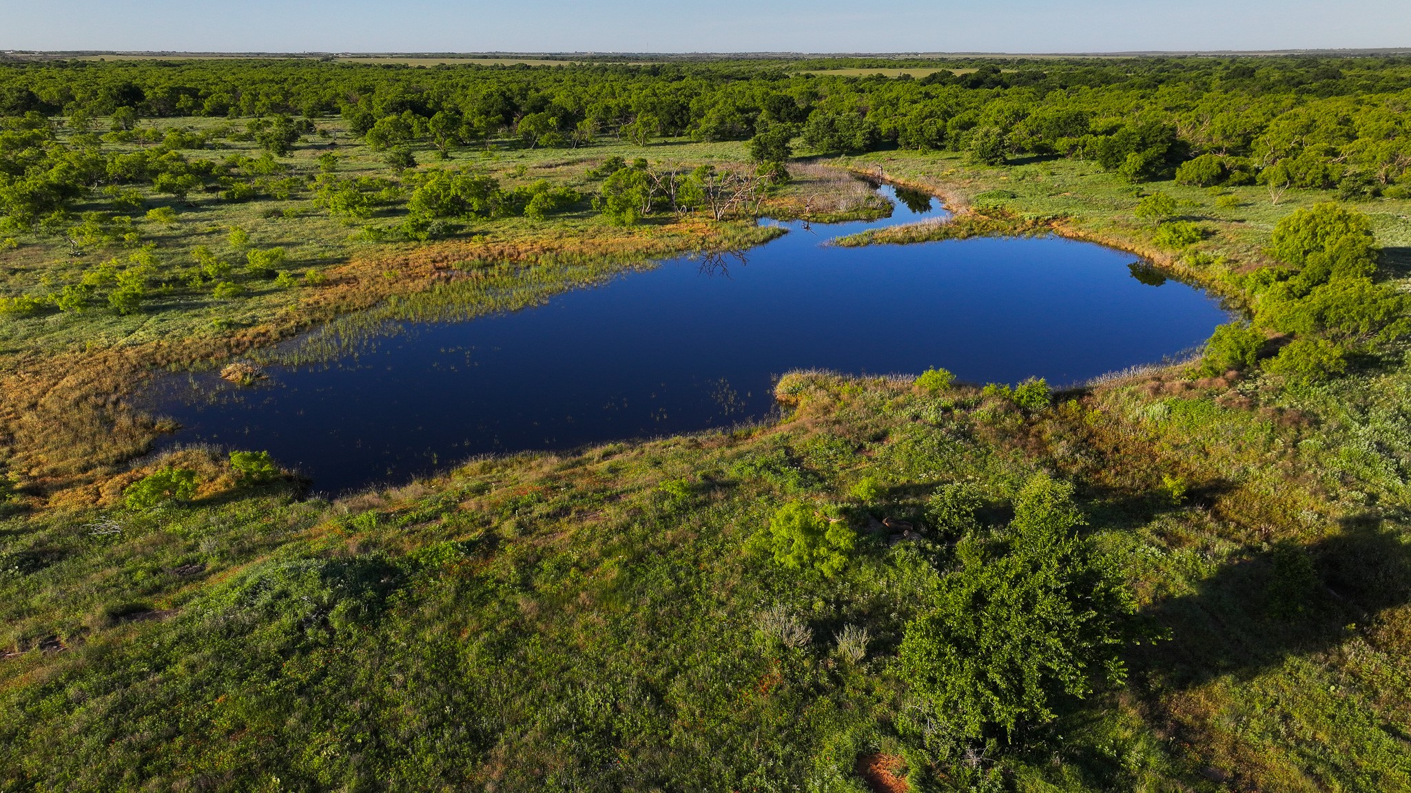 Tbd Symank Road Megargel TX 76370