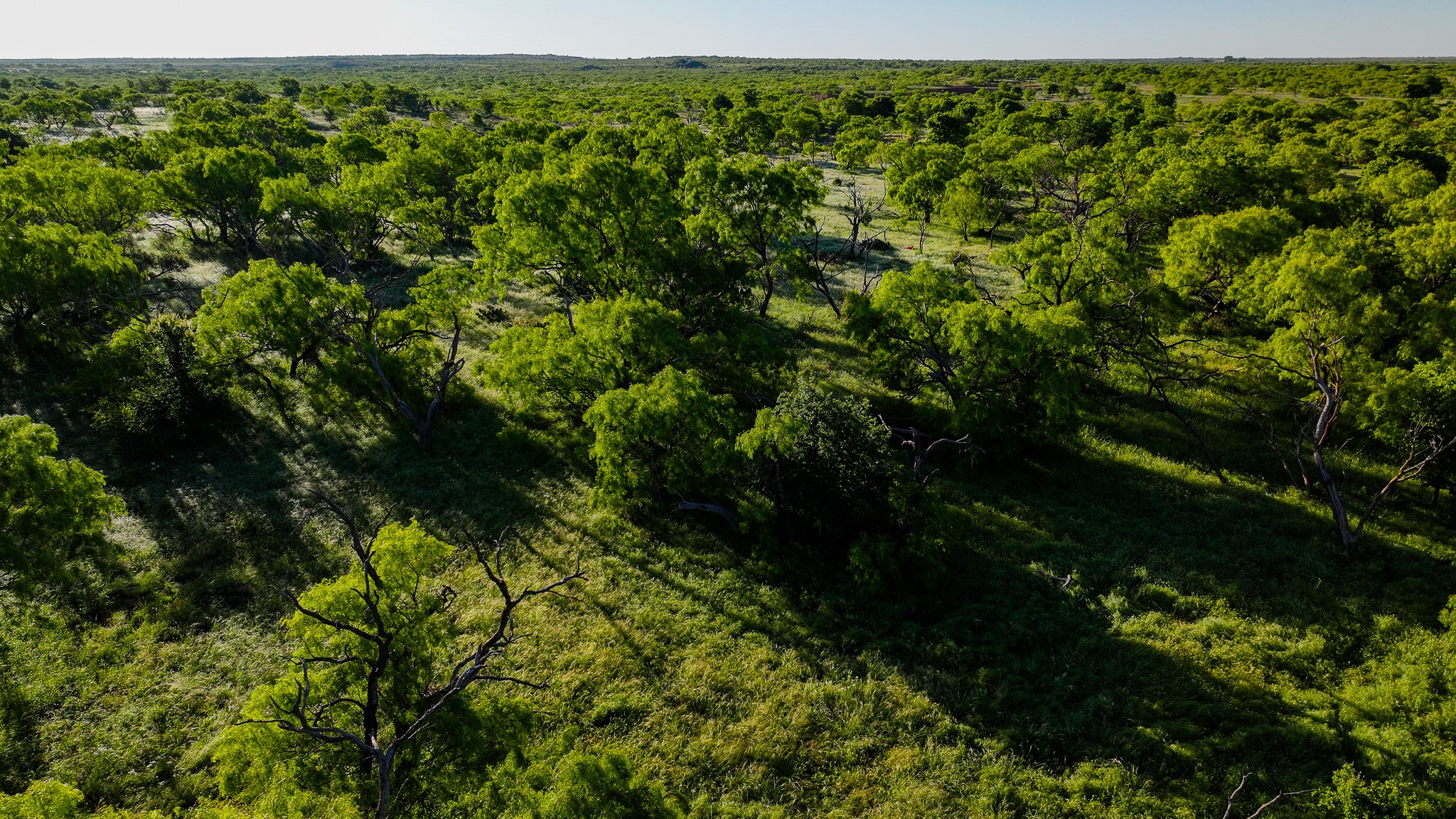 Tbd Symank Road Megargel TX 76370
