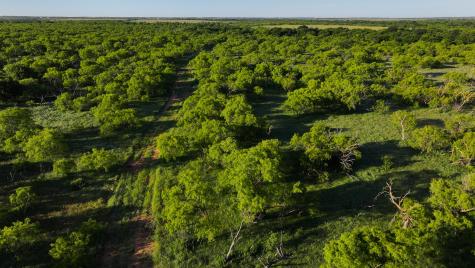 Tbd Symank Road Megargel TX 76370