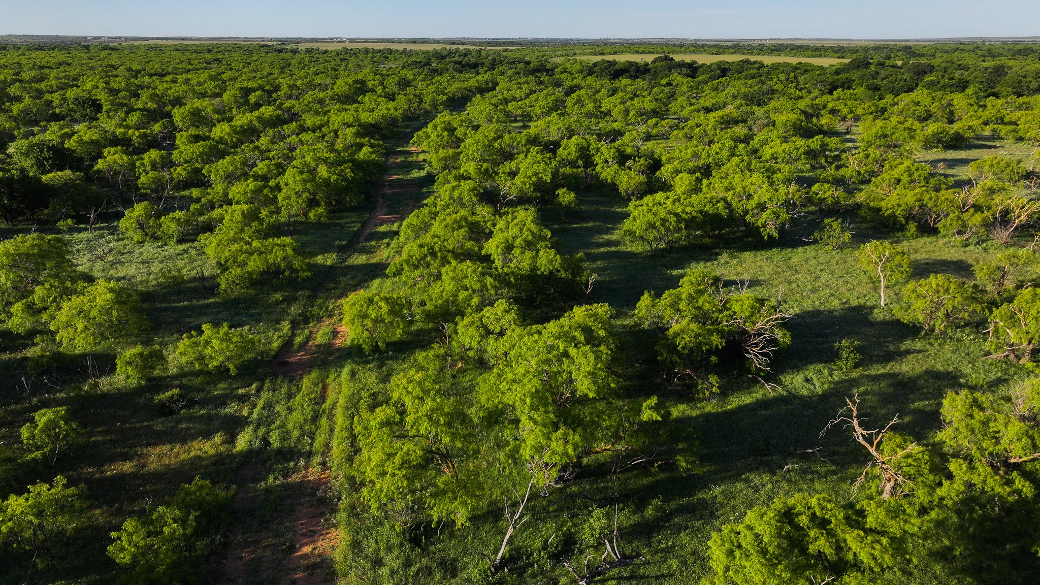 Tbd Symank Road Megargel TX 76370