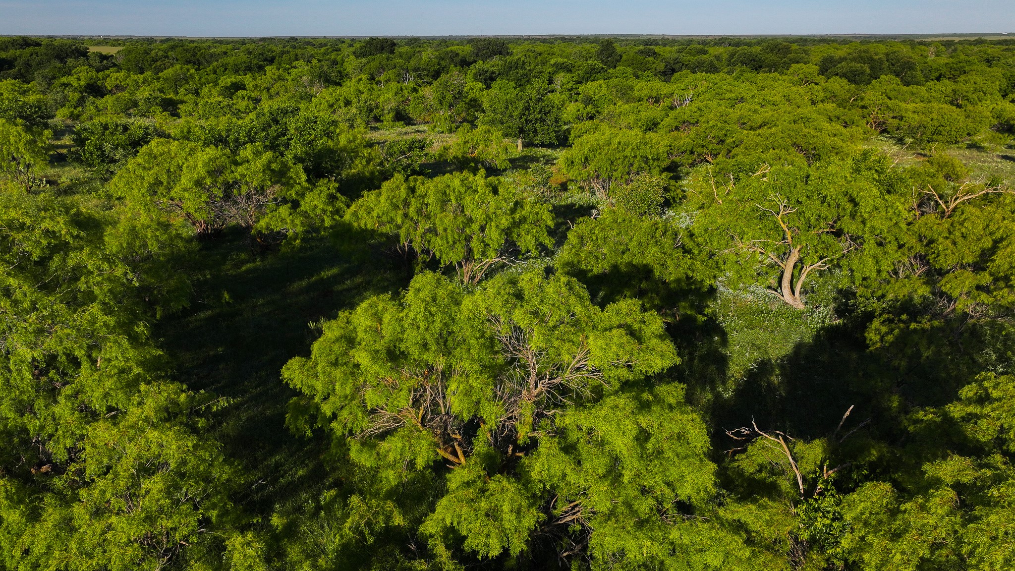 Tbd Symank Road Megargel TX 76370