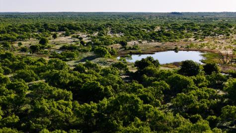 Tbd Symank Road Megargel TX 76370