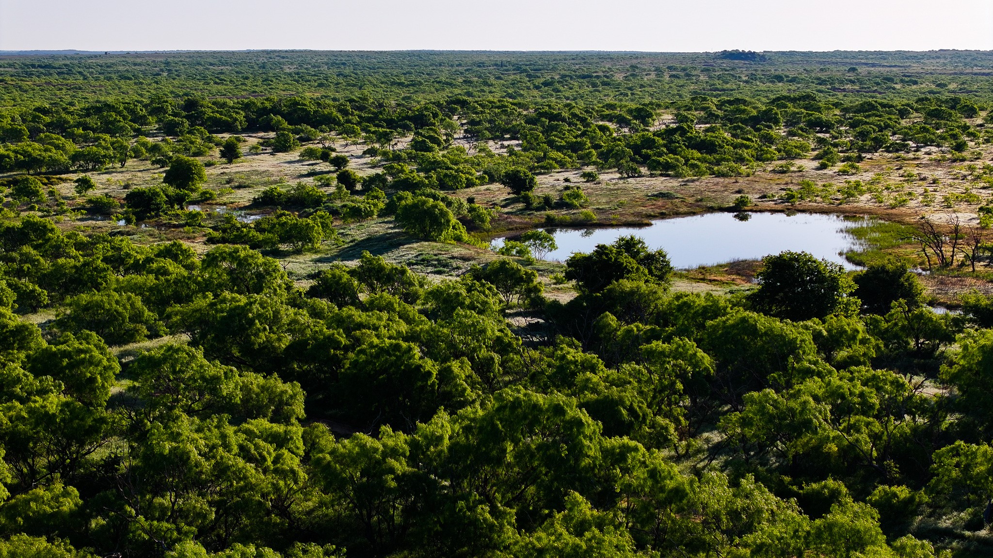 Tbd Symank Road Megargel TX 76370