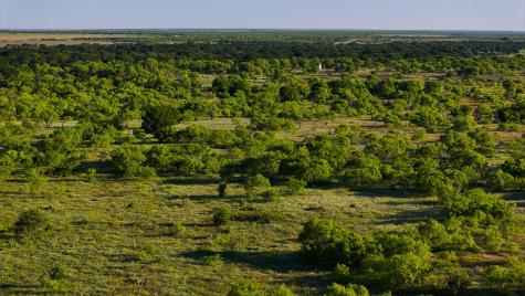 Tbd Symank Road Megargel TX 76370