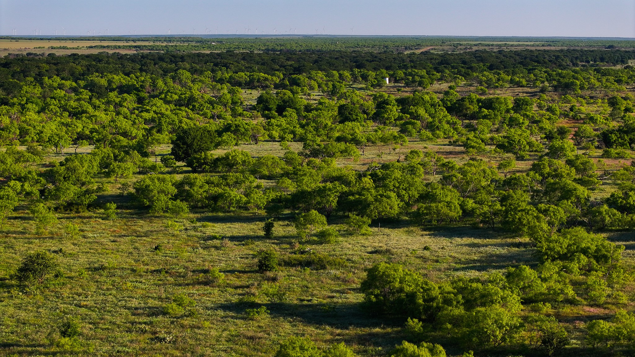 Tbd Symank Road Megargel TX 76370