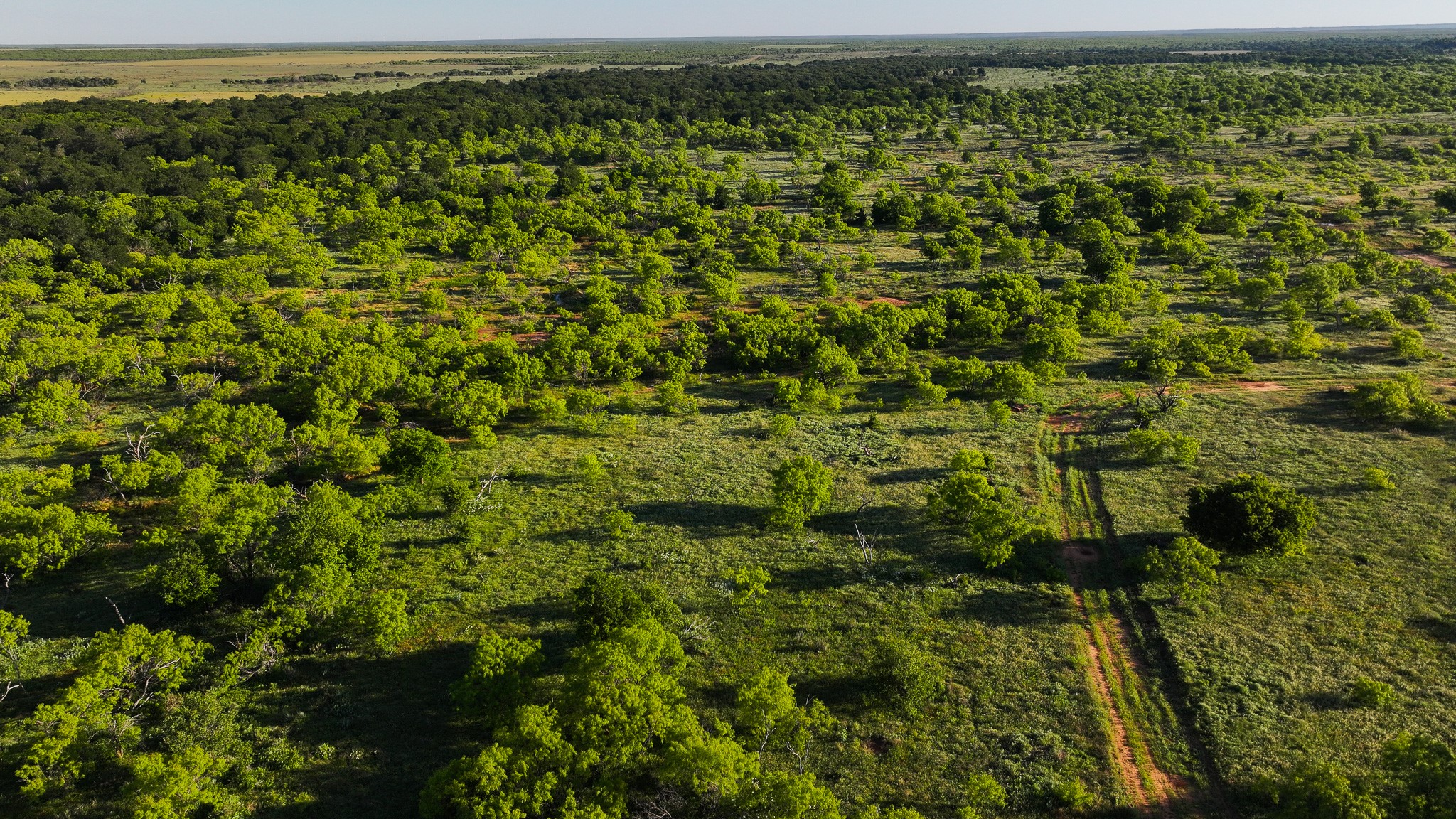 Tbd Symank Road Megargel TX 76370