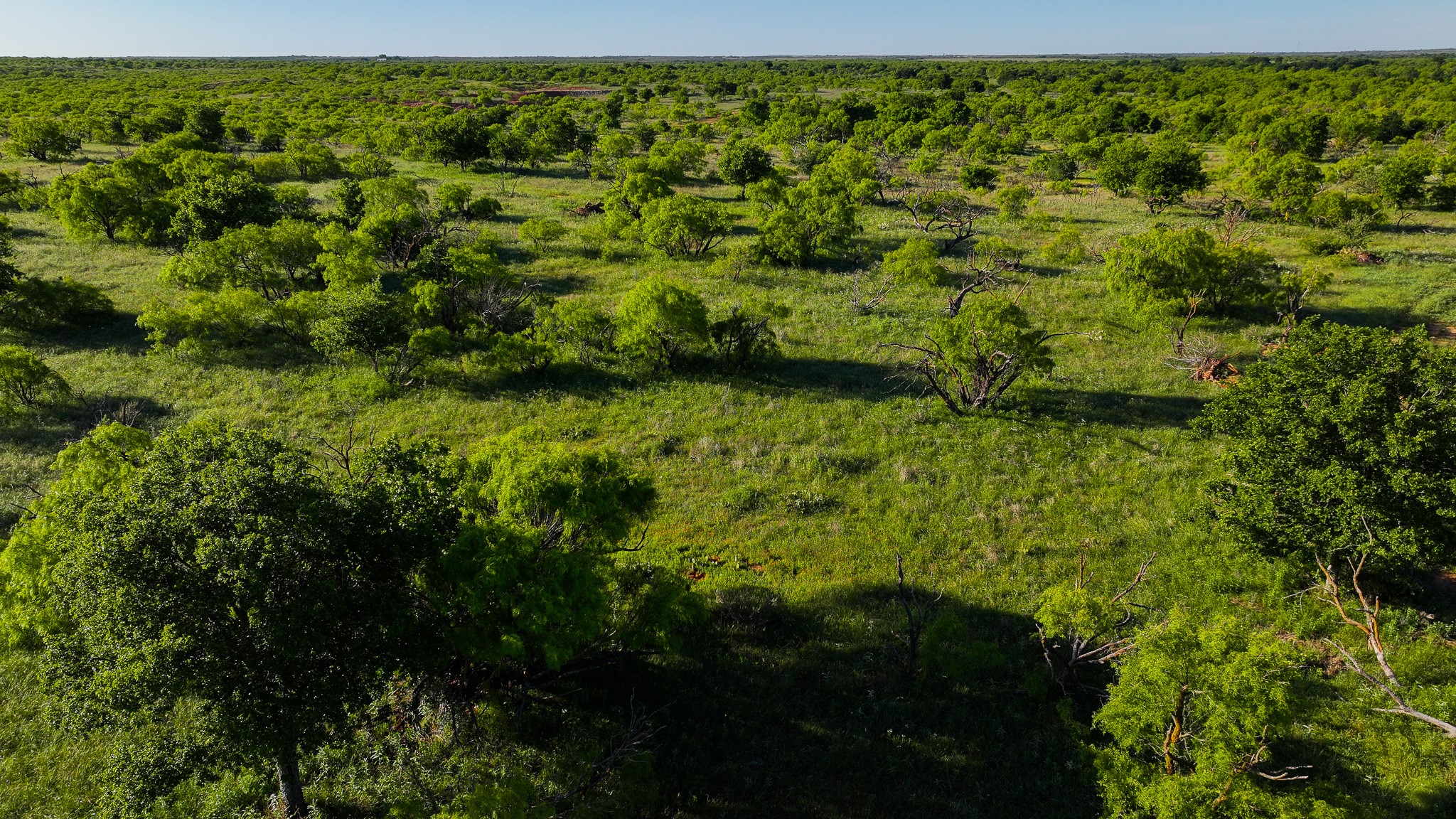 Tbd Symank Road Megargel TX 76370