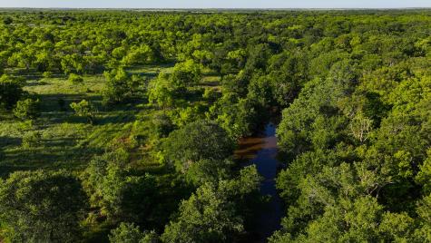 Tbd Symank Road Megargel TX 76370