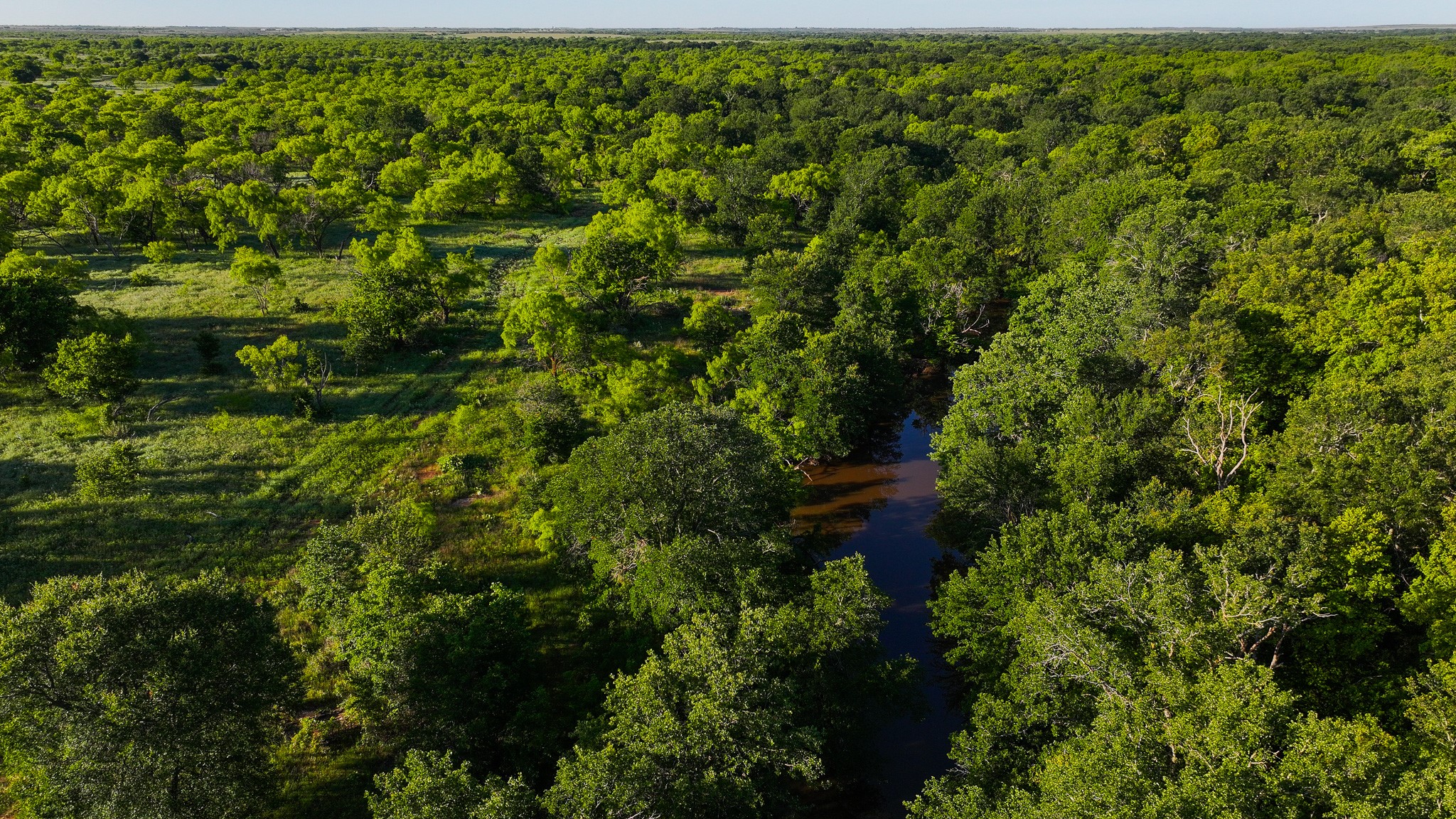 Tbd Symank Road Megargel TX 76370