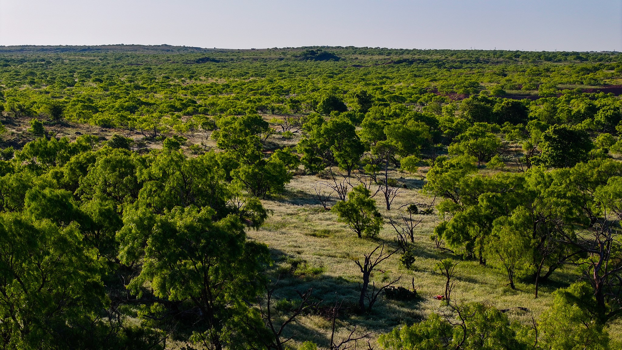 Tbd Symank Road Megargel TX 76370