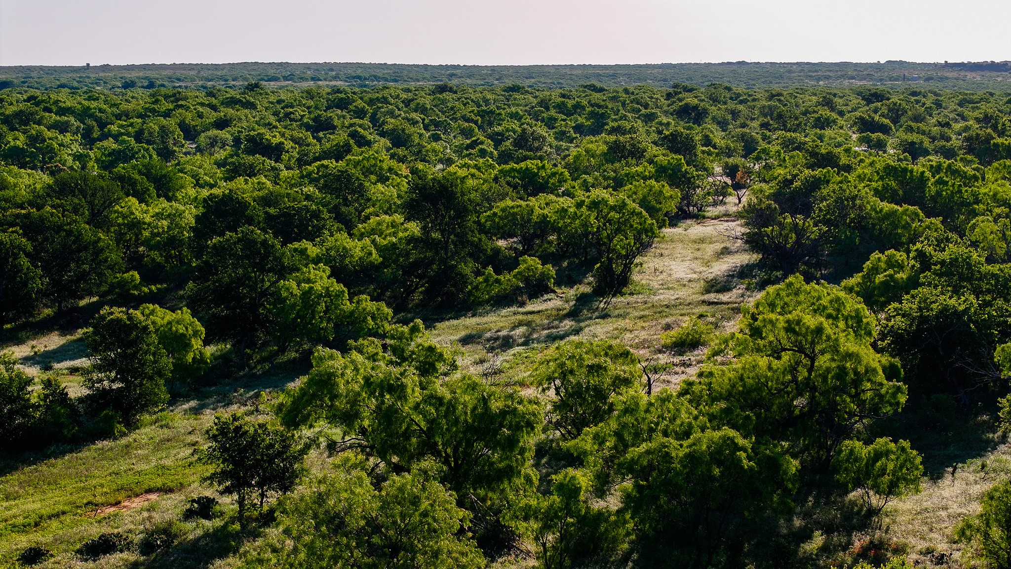 Tbd Symank Road Megargel TX 76370