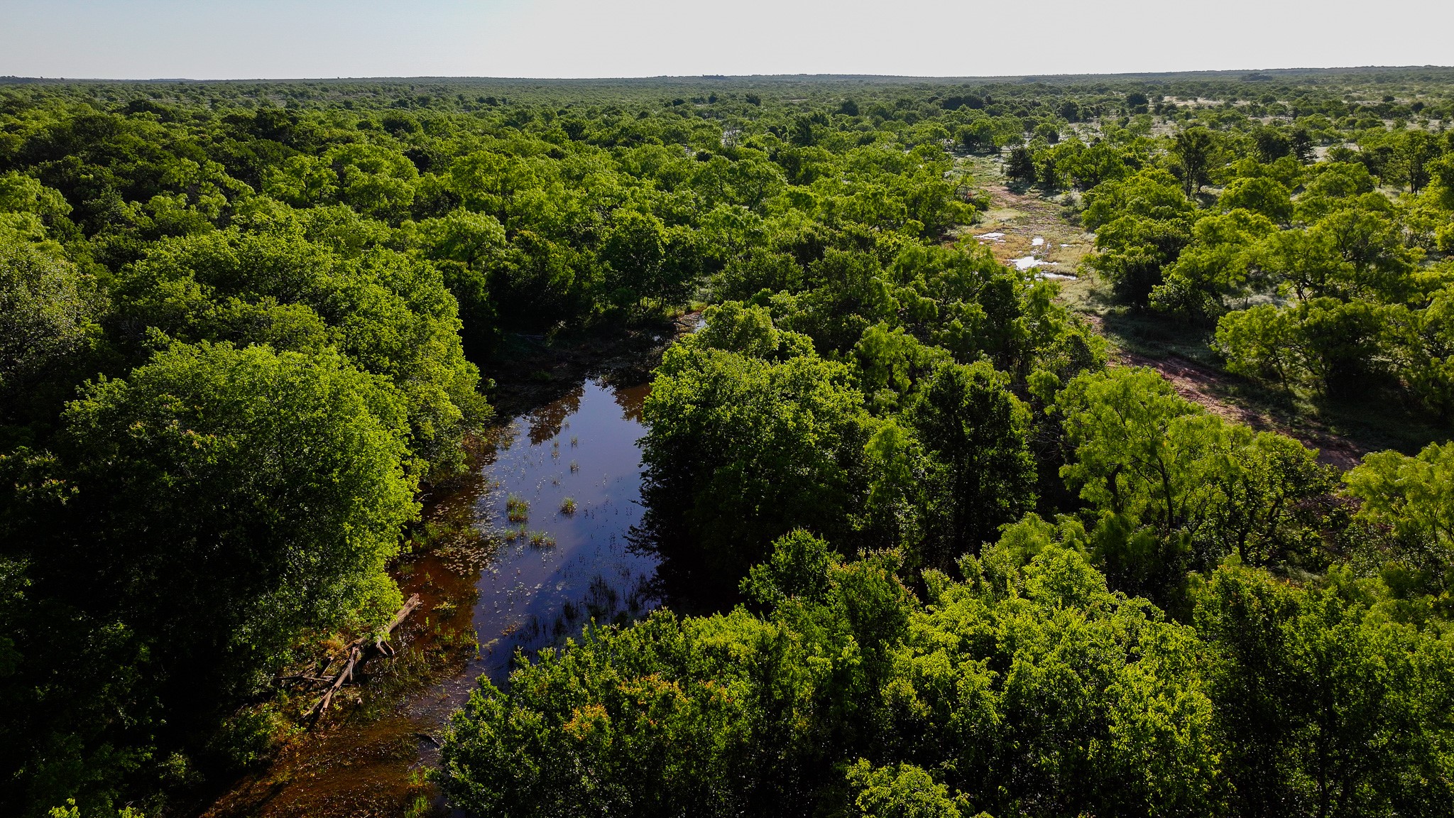 Tbd Symank Road Megargel TX 76370