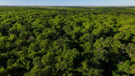 Tbd Symank Road Megargel TX 76370