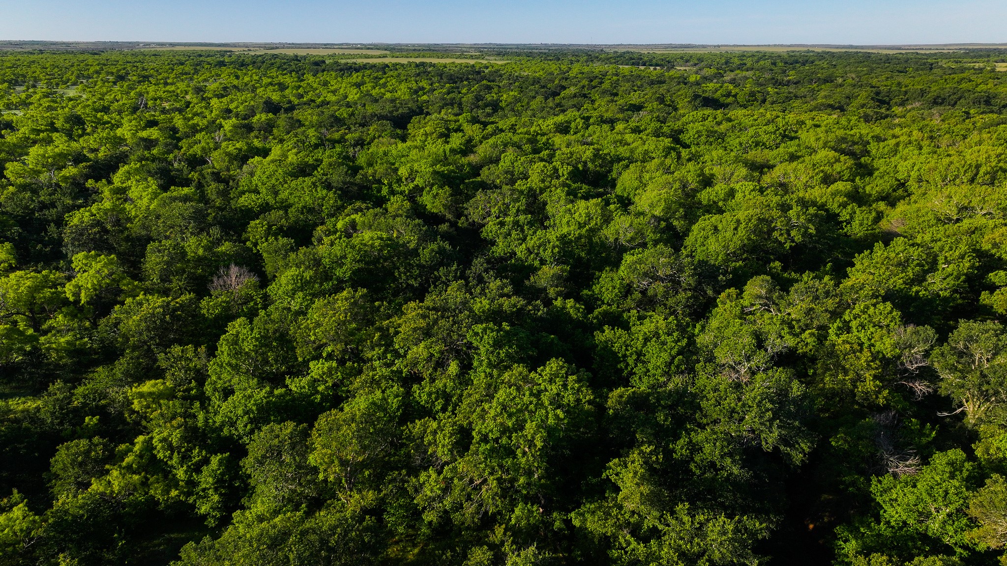 Tbd Symank Road Megargel TX 76370