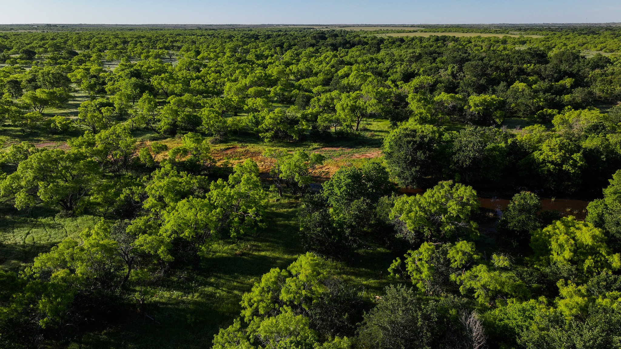 Tbd Symank Road Megargel TX 76370